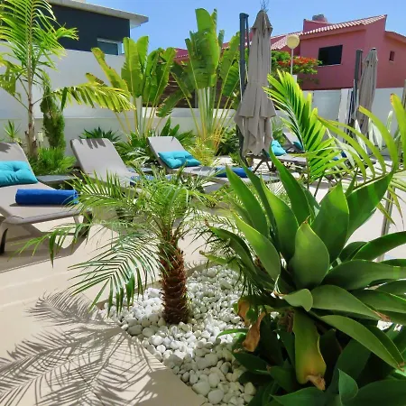 Palm Breeze וילה