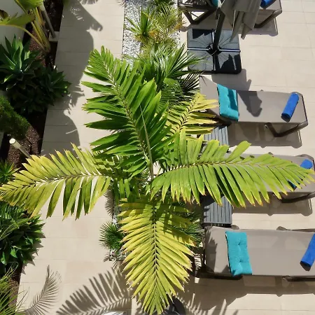 Villa Palm Breeze