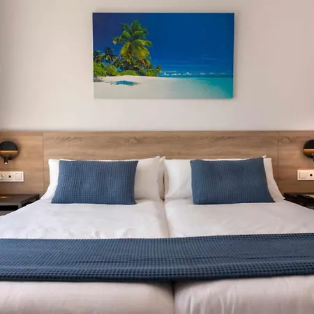 Palm Breeze