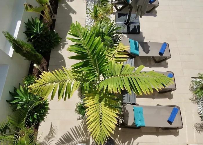빌라 Palm Breeze