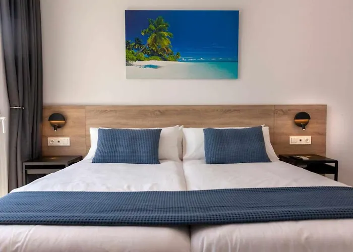 Palm Breeze